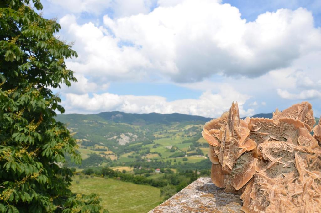 B&B La Terrazza Del Subasio Asís Exterior foto